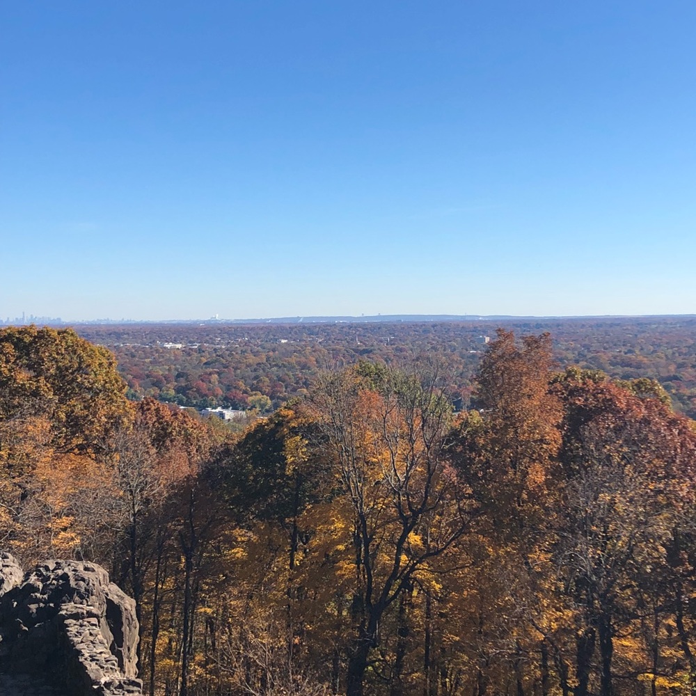 Meet your Posher, Zilma